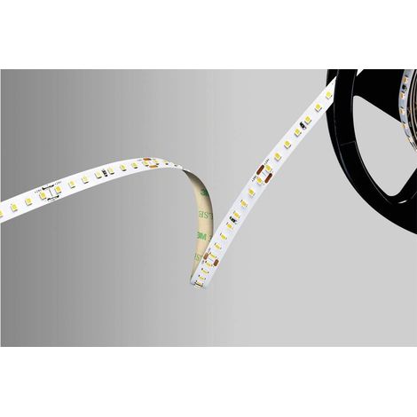 Barthelme 51542234 Ruban LED 24 V 5000 mm blanc froid 5 m R404912