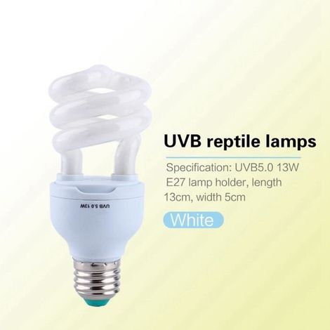 Lampe UVB 5.0 13W E27 pour reptiles - Idéale pour tortues (1/4)
