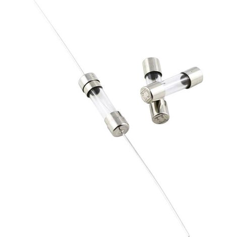 Micro-fusible ESKA 520.108 (Ø x L) 5 mm x 20 mm 0.125 A 250 V ultra-rapide -FF- 10 pc(s) S52088 (1/2)