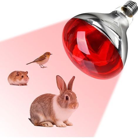 Infrarot-Heizlampe, 250 W, E27, rotes Glas, Reptilienheizung, für Schildkröten- und Schlangen-Terrarien (1/5)