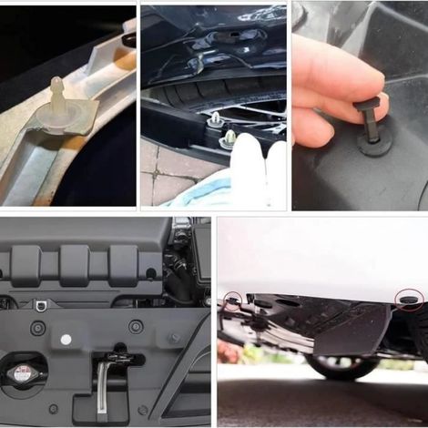 Rivet Clips Plastique, Rivet Plastique Fixation de Protection avec Boîte de Rangement, Multi Tailles Universel (1/4)