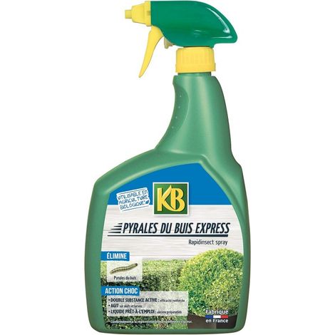 KB- YR700 PYRALE EXPRESS PAE 12X700ML (KPYR700)