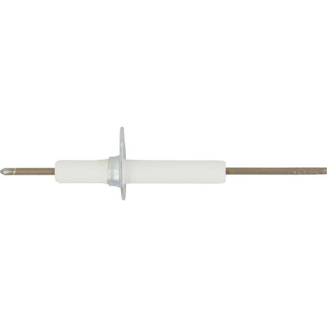 Electrode d'ionisation