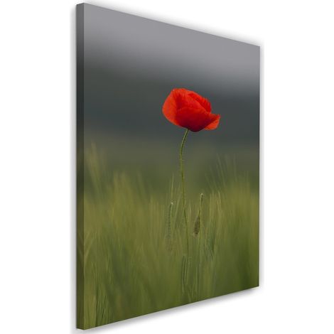 Tableau sur toile Champ de coquelicots Nature 40x60 (1/5)