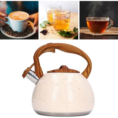 Bouilloire de 3 litres en acier inoxydable avec cornet, adaptée aux cuisinières à gaz, aux plaques à induction et de grande capacité. (1/5)