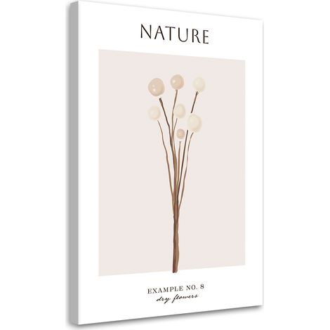 Tableau sur toile Fleur sèche - Nature 40x60 (1/5)