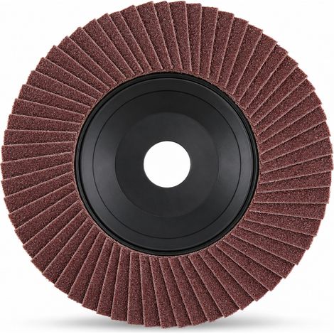 Disque à lamelles 100 mm pour meuleuse angle métal bois rouge (1/5)