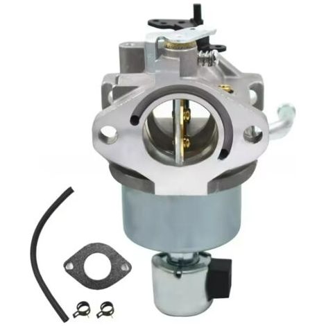 Carburetors 594605, 792768, 591734, 594603, 791886 and 698620, 690194 Baliton--DTEKGAZ