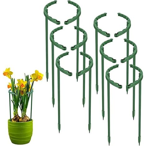 Support pour plantes grimpantes, support pour plantes grimpantes, support pour fleurs de jardin (1/5)