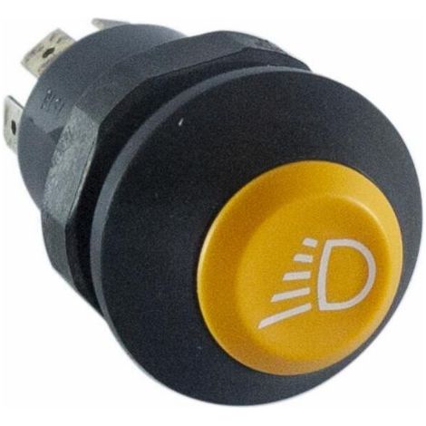 Pulsante Pneutron 12V faro lavoro (1/3)