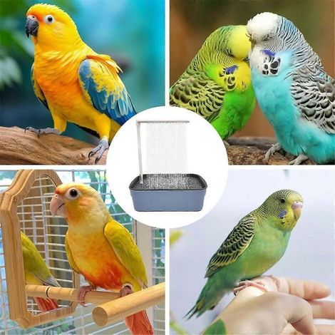Baignoire de douche automatique pour oiseaux et perroquets, baignoire à circulation d'eau pour animaux de compagnie (1/3)