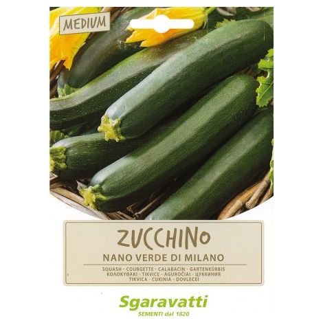 SEMI PER ORTAGGI E VEGETALI zucchino nano verde di milano Q.TA 10 zucchino nano verde di milano