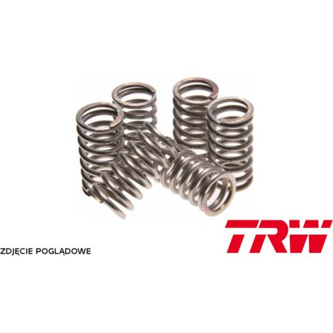 TRW ZF Kupplungsfedern für Honda CBF 600 Hornet 98-06, CBF 600 04-07, CBR 600 F 91-98, XR 650 R 00-07, GSF 600 Bandit 94-04, GSX-F 600 98-02, GSX 750 98-03, GSX-F 98-06, (4 Stück) (EBS045)