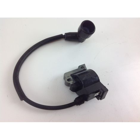 Bobine d'allumage IKRA pour débroussailleuse IBF 31 4 046301 (1/4)