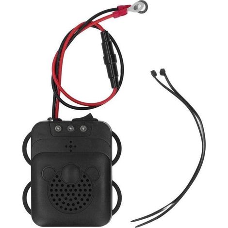 Répulsif Souris Ultrasons 12V Professionnel Voiture Avec Lumière Stroboscopique Anti Rongeurs Électronique (1/4)