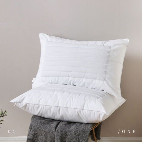 Coussins 48x75 Lot de 2 Coussin en velours avec cosses de sarrasin-AquaForge (1/4)