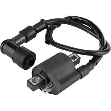 Bobine d'allumage pour scooter et moto tout-terrain Améliore l'efficacité de combustion Compatible 125CC à 250CC Installation rapide - ATV 125 CC (1/5)