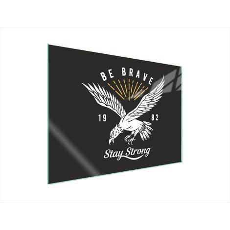 PLACA PROTECTORA DE VIDRIO PARA ESTUFA 70x52 BIRD (1/5)