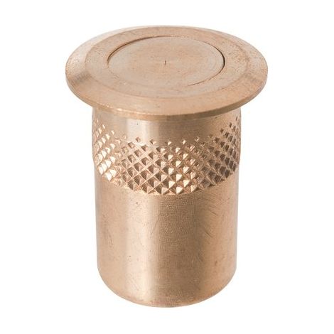 Ecolands – Gâche pour crémone en laiton poli – Diamètre 30 mm – Anti poussière – Ressort inox pour usage intensif