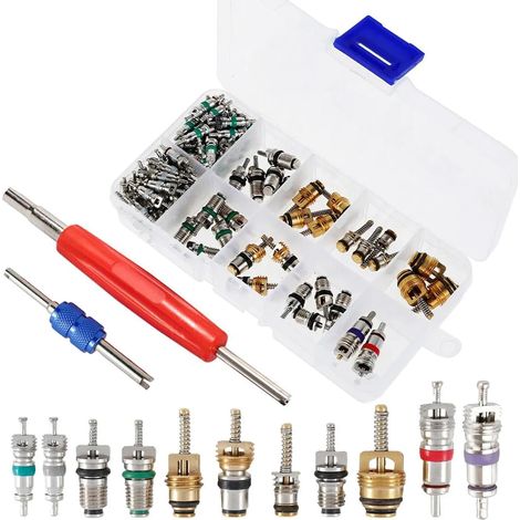 100 Pieces R134A A/C Tyre Valve with 2 Double Head Removers, 1 Storage Box, Tool Kit Cores Valve Air Conditioning Car Refrigeration for Bike, Motorcycle, Air Conditioning Repair Replacement and Mainte (1/5)