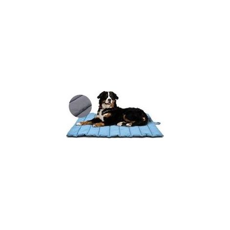Tapis Chien&Chat Grand Taille (Frais et Chaud), Panier Chien Pliable, Coussin Chien Lavable, Antistatique Lit Voyage Chien Exterieur, Matelas pour Chien Refroidissement (110 x 68 cm) (1/5)