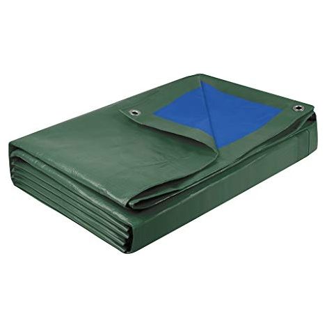 BACHE LOURDE 200G 6X10M COGEX 82723