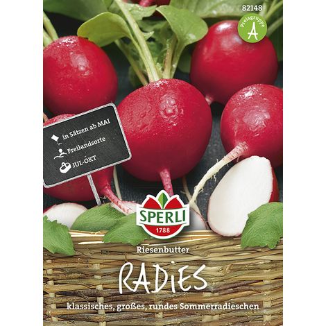 Sperli – Radis Riesenbutter (Raphanus sativus) – Graines de légumes, grosses racines rondes, hauteur env. 15 cm (1/2)