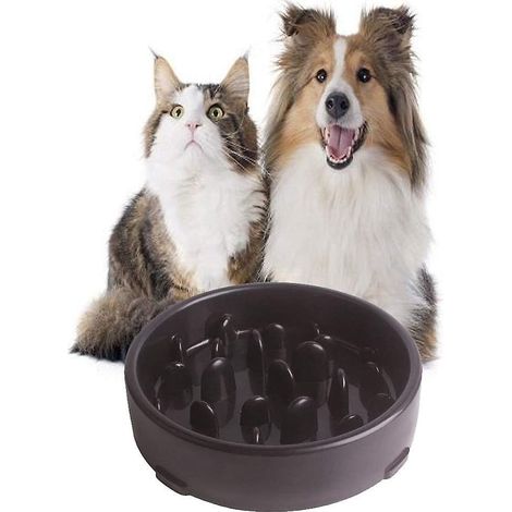 Fressnapf mit Anti-Fress-Funktion. Fressnapf mit Anti-Fress-Funktion. Futter- und Wasserspender für Hunde. Fördert gesunde Ernährung.