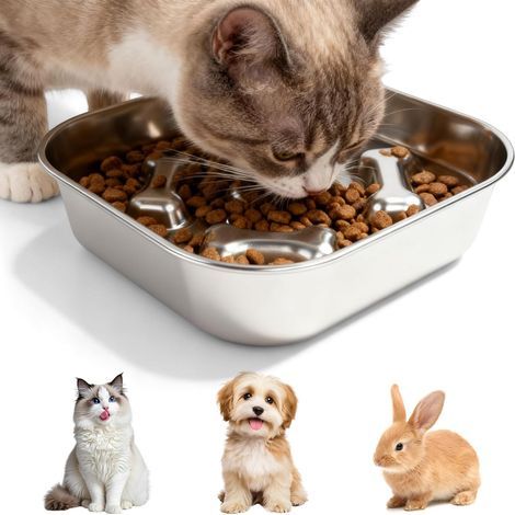 Gamelle Anti Glouton, Gamelle Chien En Acier Inoxydable 304, Gamelles D'alimentation Lente, Gamelles Pour Chien, 21,521,53,8cm Bols Pour Chiens À Alimentation Lente Pour Animaux De Petite Taille (1/5)