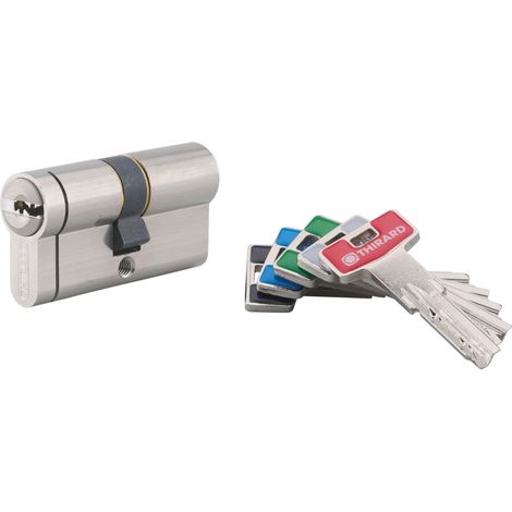 Cilindro europeo Transit 2 30 x 30 mm, nichelato, 5 chiavi, senza funzione emergenza – THIRARD (1/2)