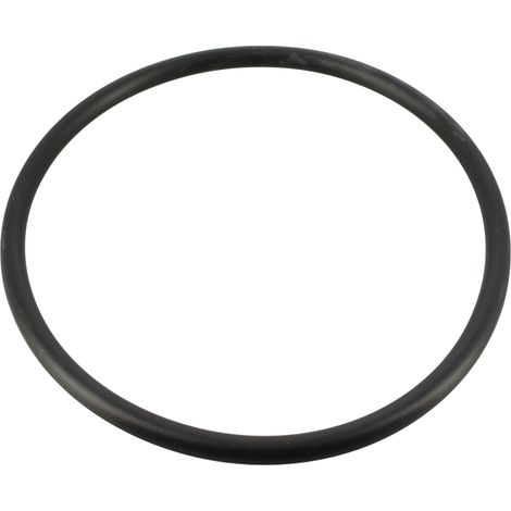 Joint de couvercle pompe r702208 - pompe de piscine pentair