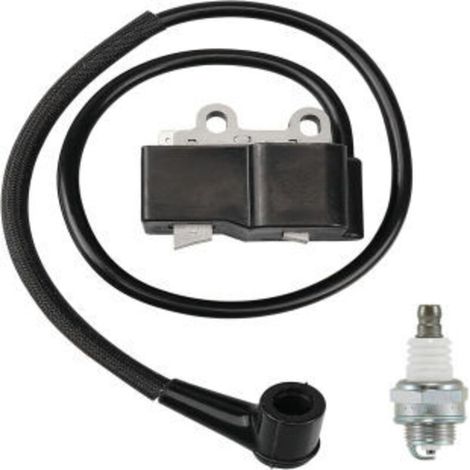 Bobine d'allumage haute tension compatible avec PB-500, PB-500H, PB-500T, A411001460, A411000420 – Pièce de rechange compatible (1/4)