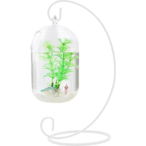 1 aquarium domestique (1/3)