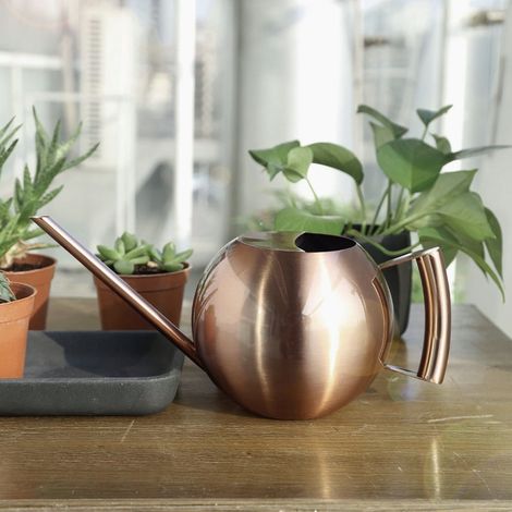 Arrosoir en acier inoxydable 1000 ml, pot à large ouverture, outil pour fleurs et plantes de jardin, bronze (1/5)