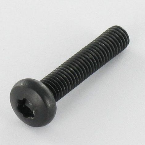 Vis métaux tête cylindrique bombée large Inox A2 M5X25 Noir TORX T20-10 pièces