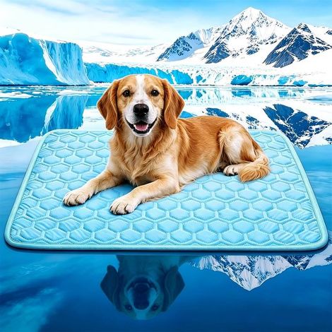 Tappetino rinfrescante per cani - Autoraffreddante - Antiscivolo - Lavabile - Portatile - 68 x 99 cm - Cani e gatti - Per esterni e interni (1/5)