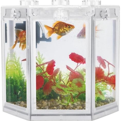 Piccolo acquario esagonale Super Impossible Mini Acquario Portatile per decorazione ufficio Plastica 12x11,5x11cm (Trasparente) (1/5)