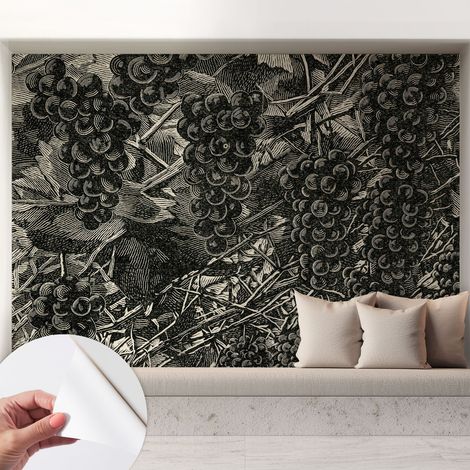 Carta da parati autoadesiva - fotomurale - decorazione parete - stile elegante - decorazione casa - Stampa a grappoli d'uva 208x146 cm (1/5)