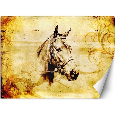 Papier peint croquis d'un cheval - 250 x 175 cm (1/4)