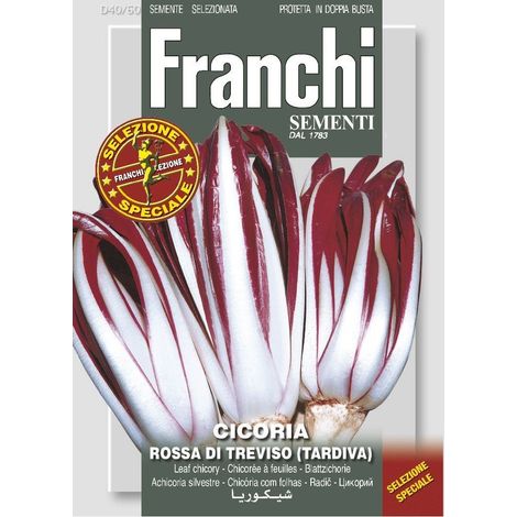 SEMI DI CICORIA ROSSA DI TREVISO TARDIVA FRANCHI SEMENTI