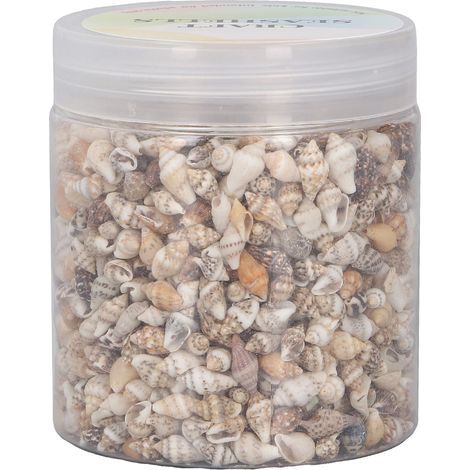 Coquillages Spiralés Naturels Non Poreux pour Aquarium, Décoration Bouteille à la Dérive et Projets DIY (1/5)