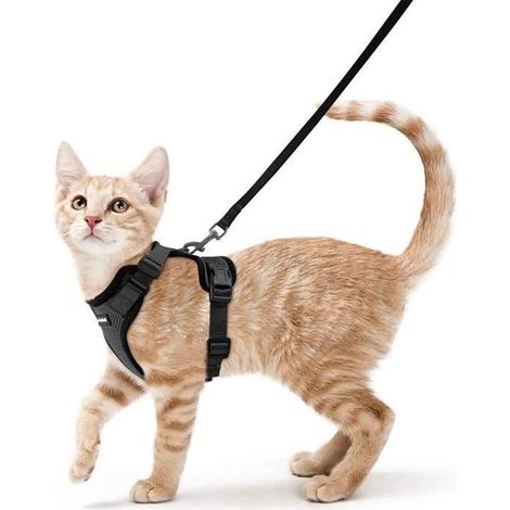Katzengeschirr/Katzengeschirr/Leine Schwarzes Katzengeschirr XS Verstellbares atmungsaktives Katzengeschirr-Halsband mit Leine