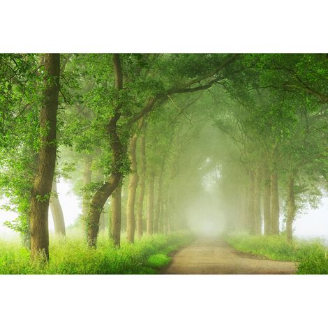 Papier peint panoramique idéal pour chambre adulte | Tapisserie panoramique nature originale | Papiers peints panoramique paysage pour salon - 270 x 400 cm (4 pièces) (1/2)