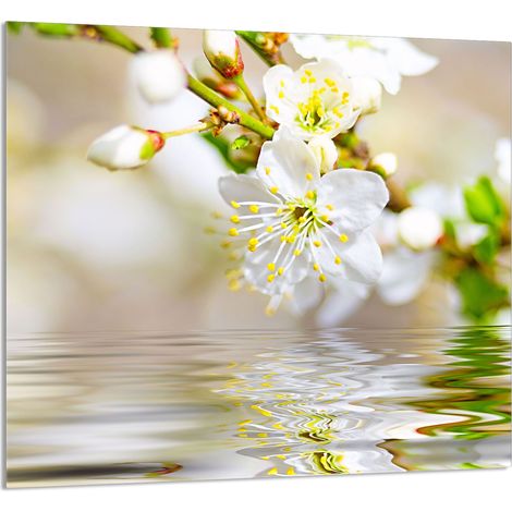 GLASPLATTE FÜR KÜCHE 65x60 Pflaume