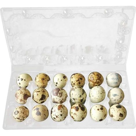 Bestonzon - Cajas de PVC transparentes para guardar huevos de codorniz (100 unidades)
