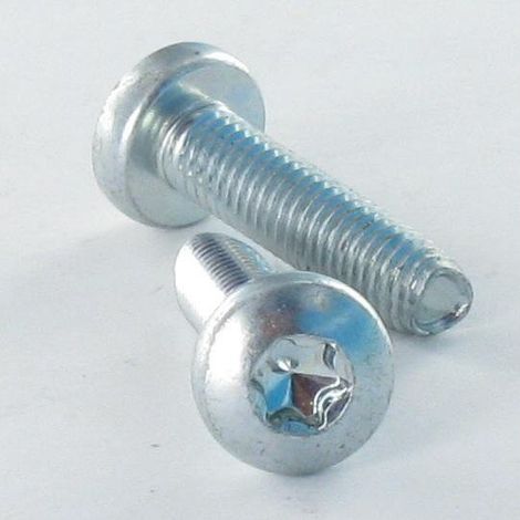 Vis autotaraudeuse Tête cylindrique large TCL 6X10 TORX T30 Acier zingué-500 pièces (1/3)