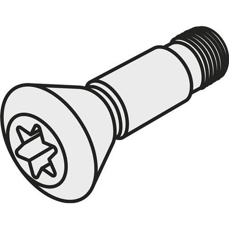 Wendeschneidplatten-Schraube ISO CS 43509-T10P Bruttogewicht 0,5g PRAMET (1/2)