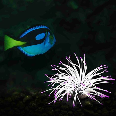 Anémone de mer artificielle en Silicone avec effet lumineux pour décoration d'ornement d'aquarium de poissons (1/5)