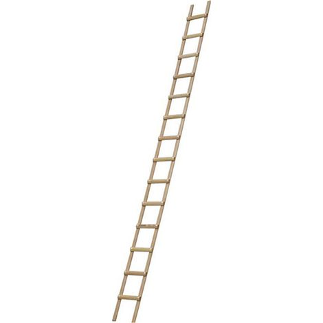 Echelle de toit en bois - Ecartement des barreaux 33cm - Longueur 5.50m - B3155033