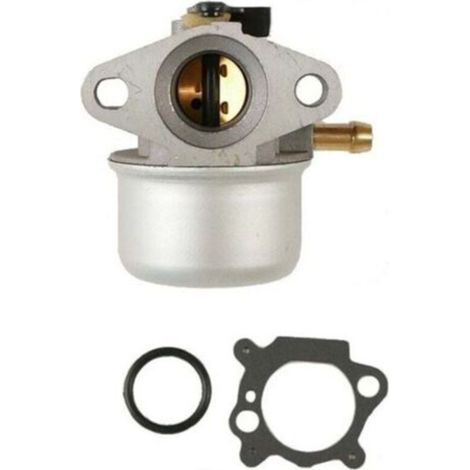 Carburateur moteur Briggs et Stratton - 498170 (1/4)